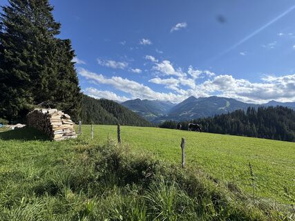 Fotografia z Andreas Kratzsch na trase