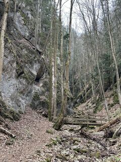 Foto de Aborigen a lo largo del recorrido