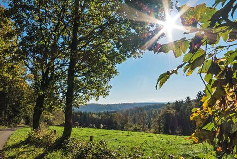 Natursteig Sieg Etappe 10