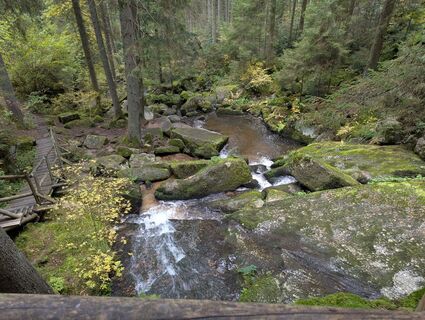Foto fra Claudia Thime undervejs på turen