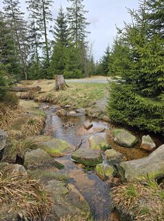 Foto von Martina Gerneck entlang der Tour