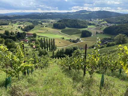 Foto von Tyler Lewis entlang der Tour