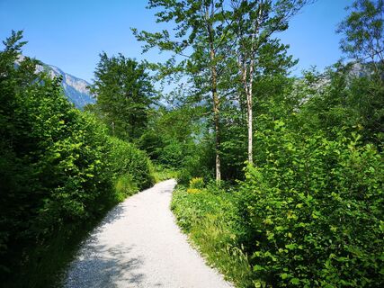 Foto von Cvetka Salamon entlang der Tour