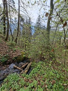 Photo de Christine Walzel64 le long du parcours