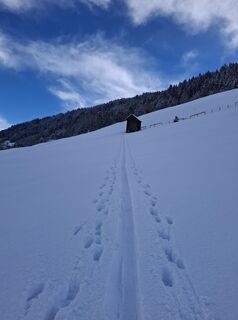 Foto von Magnus Moser entlang der Tour