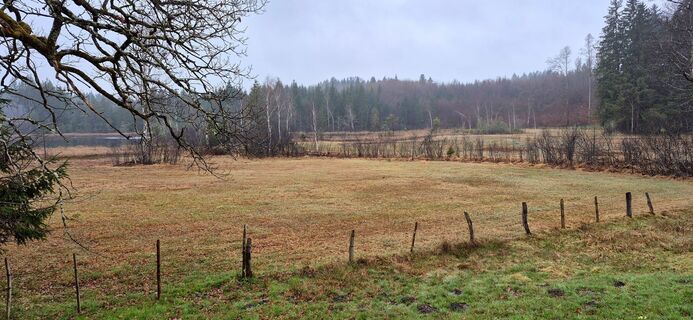 Foto från Thomas Schekira under resans gång