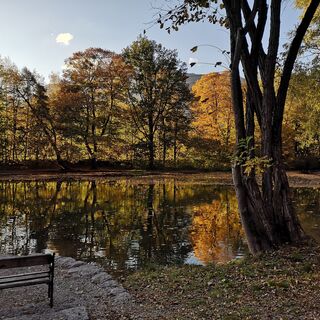 Teich im Matzenpark im Herbst