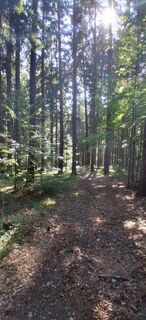 Fotografija s spletne strani Dreas Reyem na poti