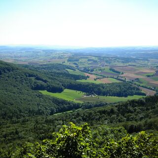 Schleitheimer Randenturm, Aussicht