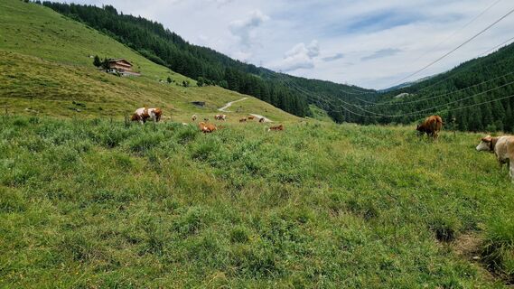 Fotografija s spletne strani Gerrit van der Linde na poti