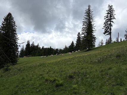 Photo de Friedrich Rückert le long du parcours