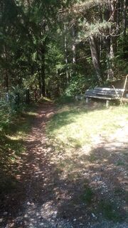 Moos-Steig1