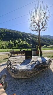 Foto von Mangolein entlang der Tour