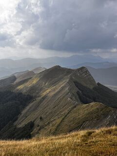 Fotografia z Nicola Florini na trase