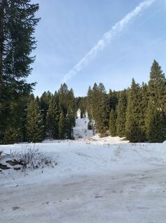Fotografija s spletne strani corrado na poti
