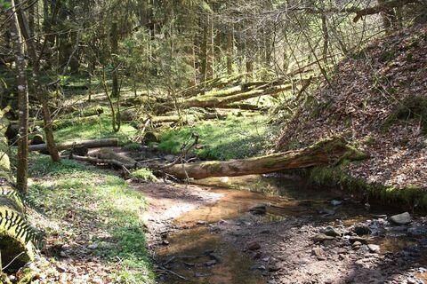 Pfänderbachtal
