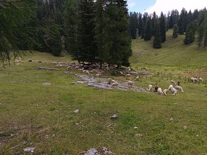 Foto de Luca Zagallo a lo largo del recorrido