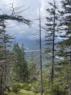 Photo de Hans-Heinrich Mai le long du parcours
