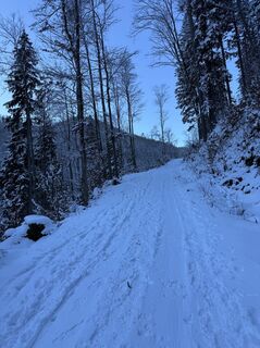 Foto von Thomas Peischl entlang der Tour