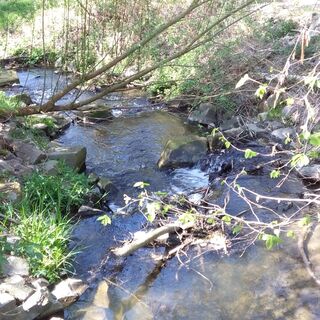 Mühlbach im Goldenen Tälchen in Dehnitz