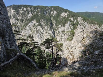 Foto von GerhardAho entlang der Tour