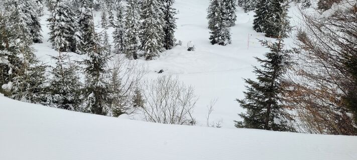 Foto von Nicky entlang der Tour