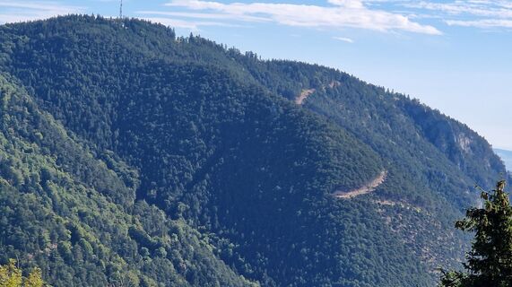 Foto de Leo Reiterer a lo largo del recorrido