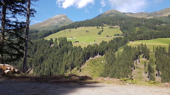 Kuhmöser - Kreuzjoch / Spieljoch