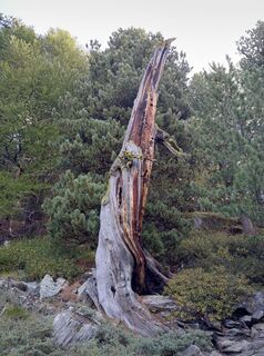 Kuva osoitteesta WolBo matkan varrella