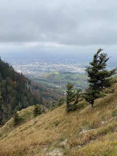Foto von Tschortschi entlang der Tour