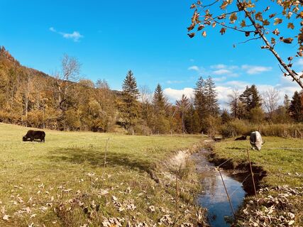 Foto von Gitti Rössle entlang der Tour