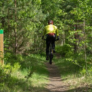 Utra Trail