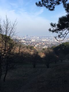 Fotografia z Robert Kremlicka na trase