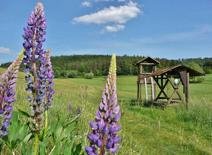 Erlebnispfad Steinbachtal Ronshausen