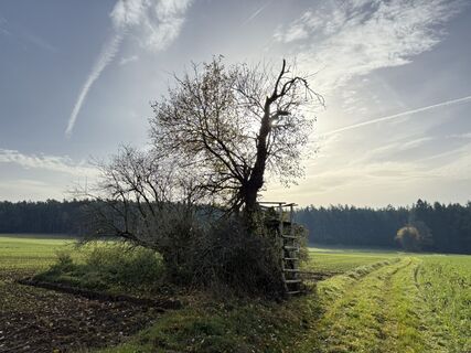 Fotografie z Norbert Herbig na trase