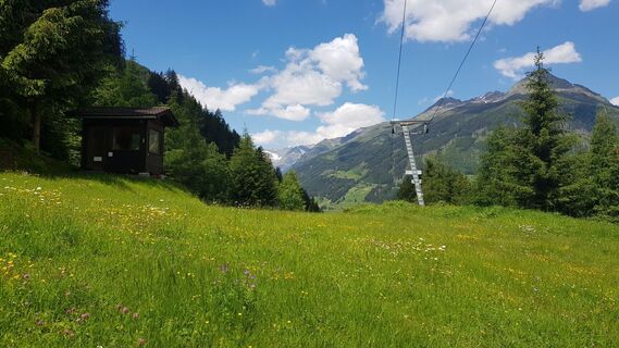 Bruggeralm-Aufstieg-c-Stephanie-Grosslercher.jpg
