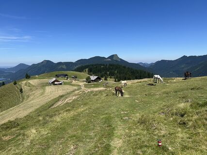 Fotografie de la G Henhapl de-a lungul turului