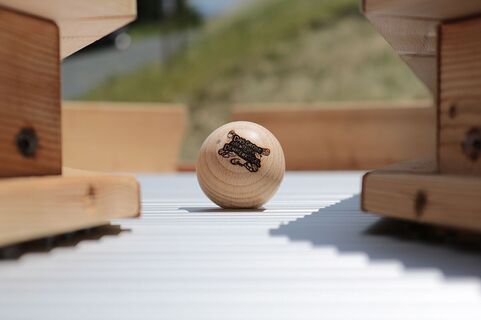 Murmelbahn - Das große Abenteuer am Demmerkogel