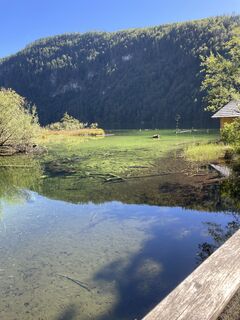 Fotografie z T Ebenhoch na trase