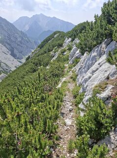 Photo de WaGla le long du parcours