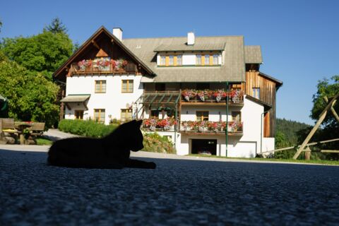 Urlaub in Miesenbach  UaB Sorger_Miesenbach_Oststeiermark