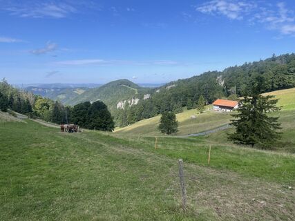 Foto von jojo55 entlang der Tour