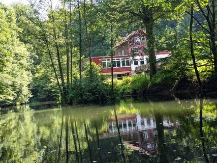 Teich_An den Teichen