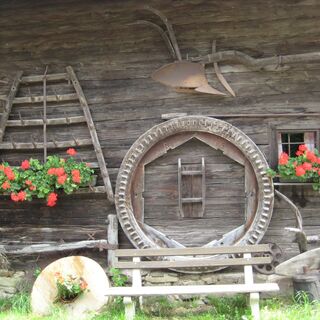 lupinen trail_img_3839738