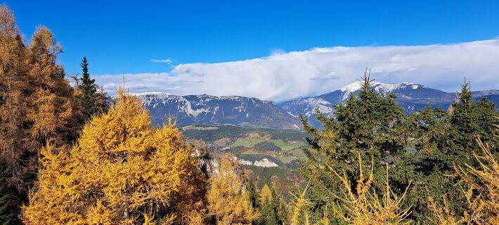 Foto från trofaier gerlinde under resans gång