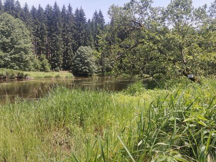 Foto von Waldläufer entlang der Tour