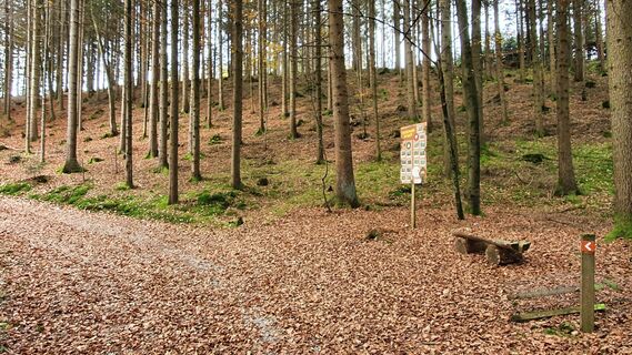 1.7 km Auffahrt durch den Haslacher Wald