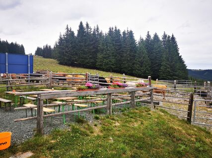 Foto von Franz Holdernig entlang der Tour