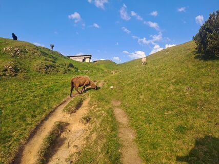 Zirl, Tirol/Österreich