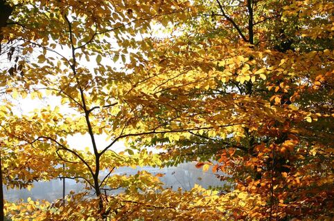 Genusslandschaft in prächtigen Farben